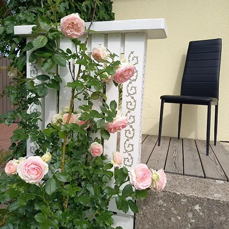 Appartement Pihtla Tee Kuelaliskorter 4